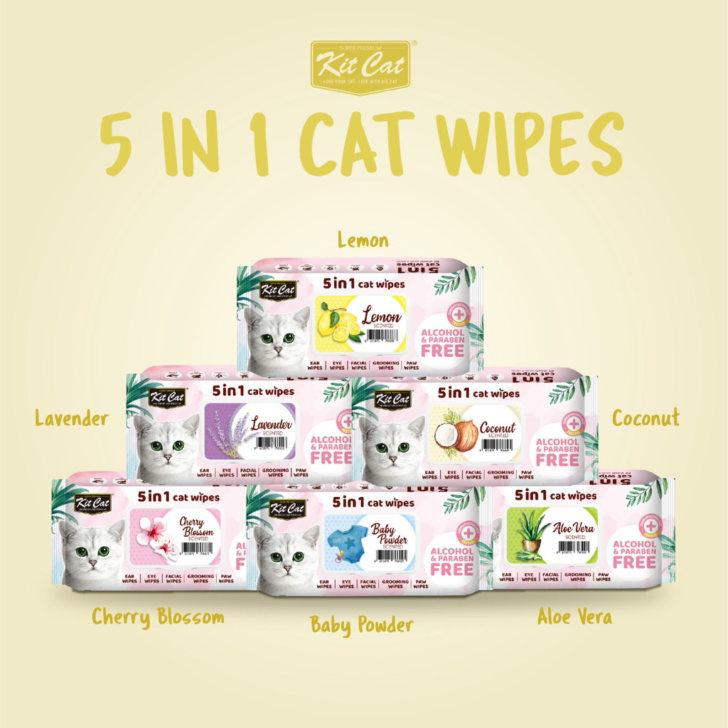Kit Cat 5-in-1 Wet Wipes for Cats (80pcs) | Shopee Singapore