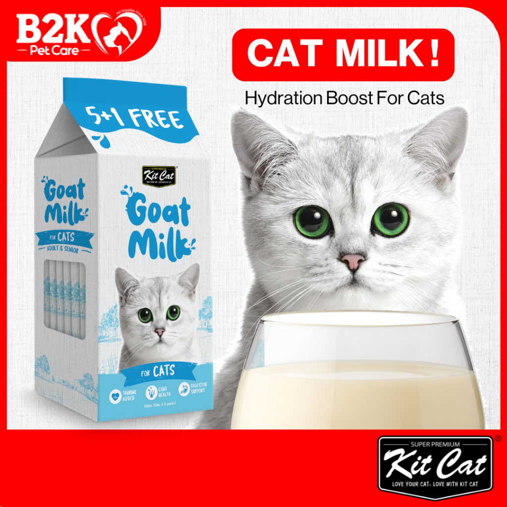 Animal Welfare What Milk Is Good For Cats *Alison Cat Care* PetAg