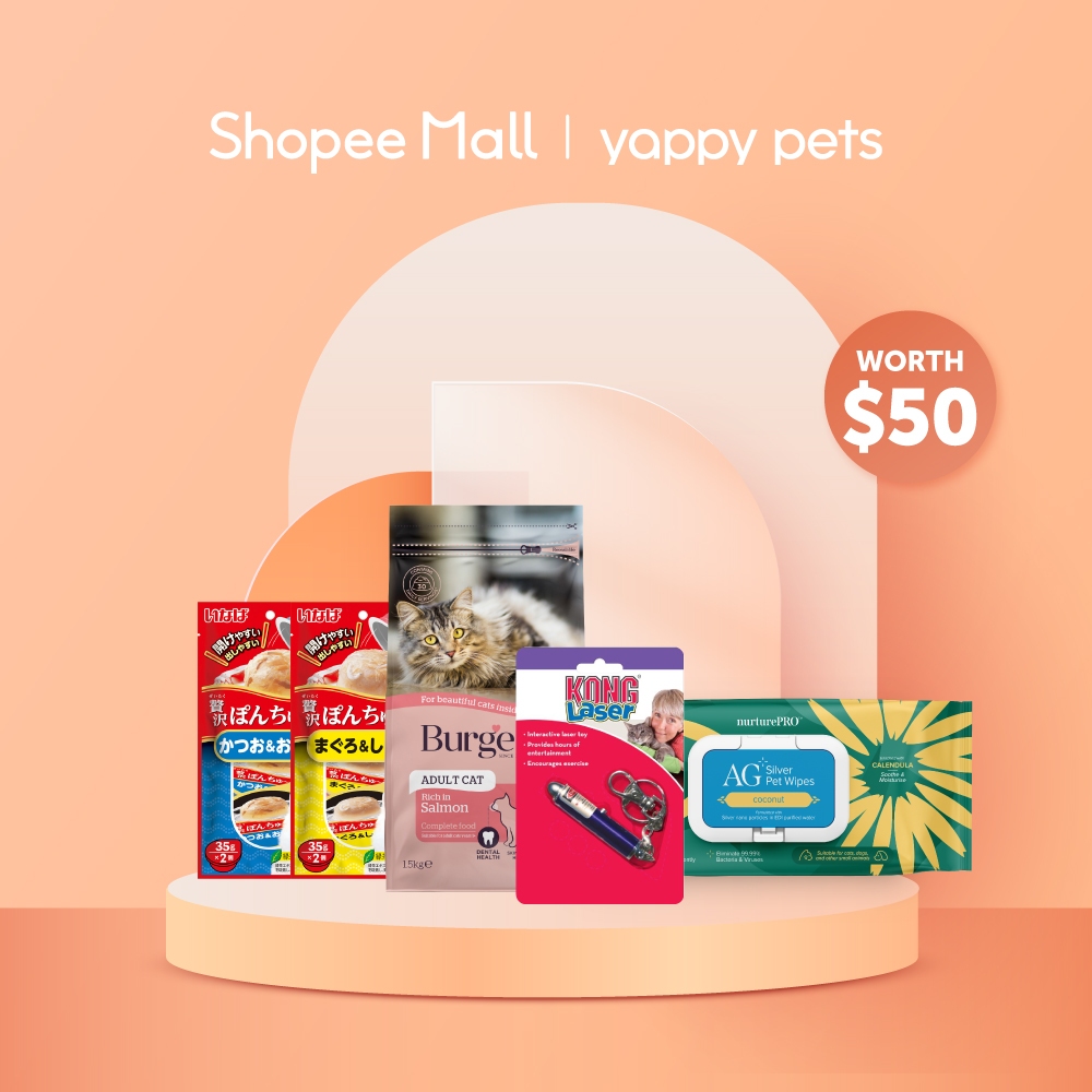[Cat] Yappy Pets Cat Brand Box C worth $50 | Shopee Singapore