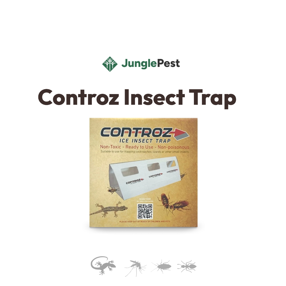 Controz ICE Insect Trap | 12pc Cockroach, Crawling Insect & Lizard Mini ...