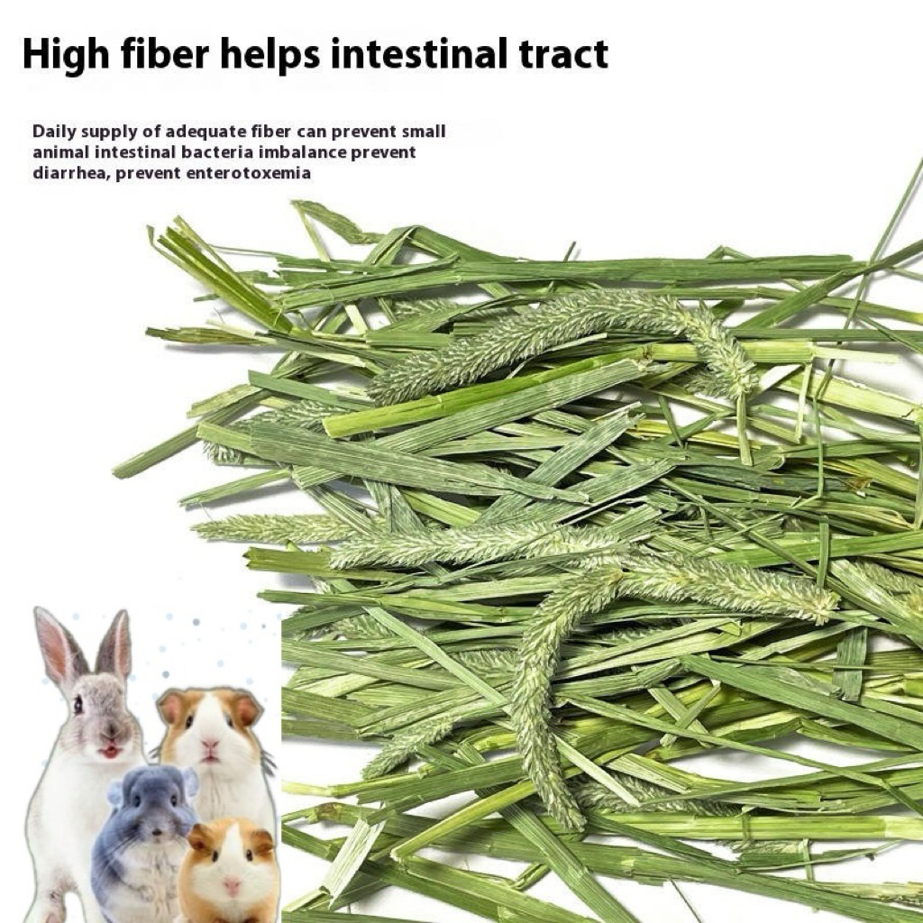 Fresh Hay Small Animal Treats Rabbit Chinchilla Guinea Pig Hay Photo Inspiration