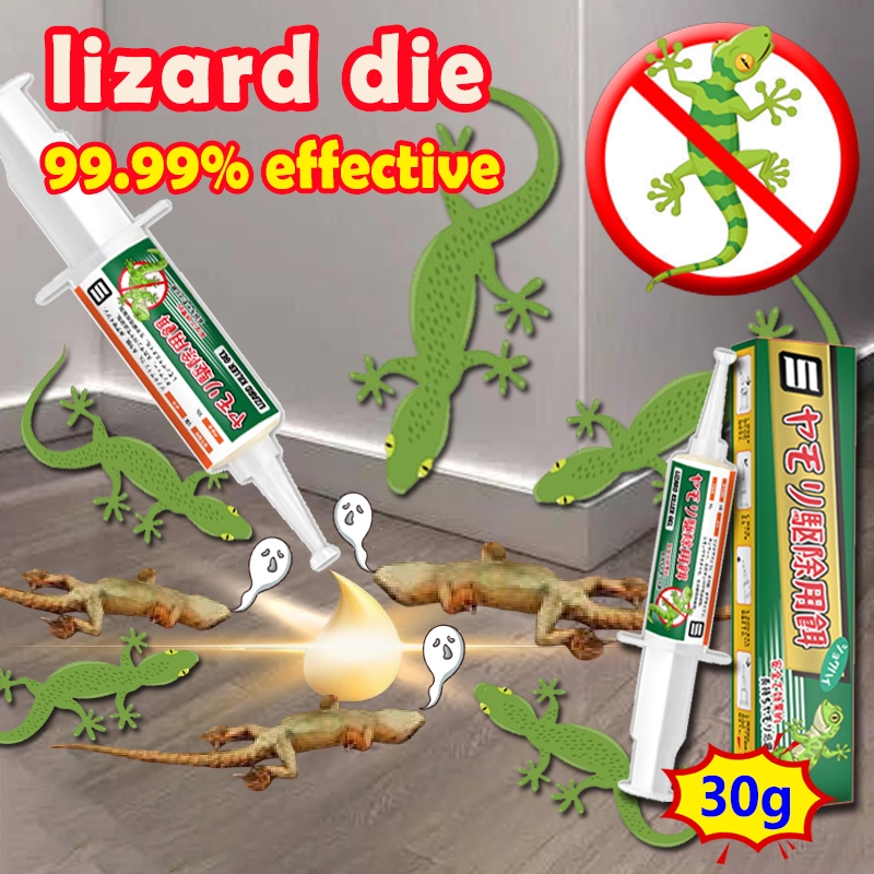 【99.99% effective】VVY lizard killer lizard poison lizard gel lizard ...