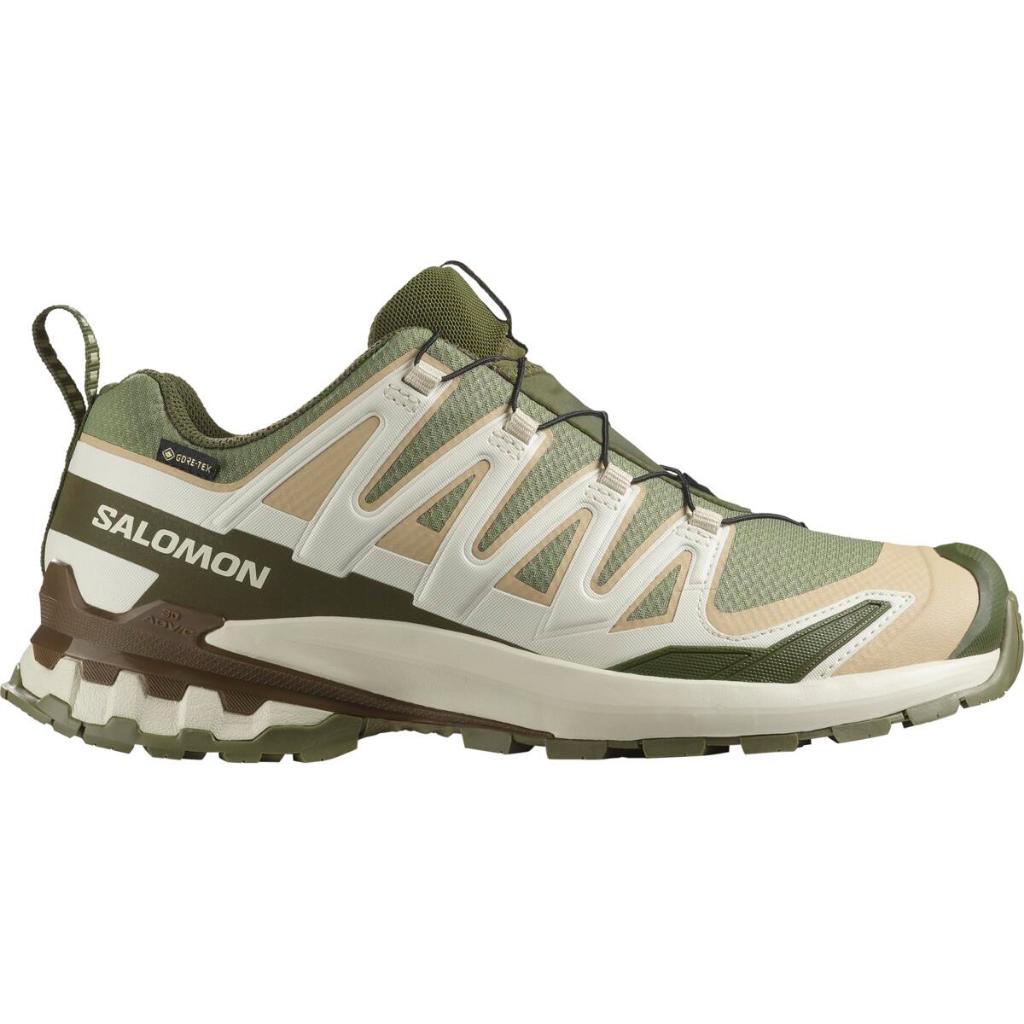 SALOMON XA PRO 3D V9 GORE-TEX Men Trail Running Shoes L47820200