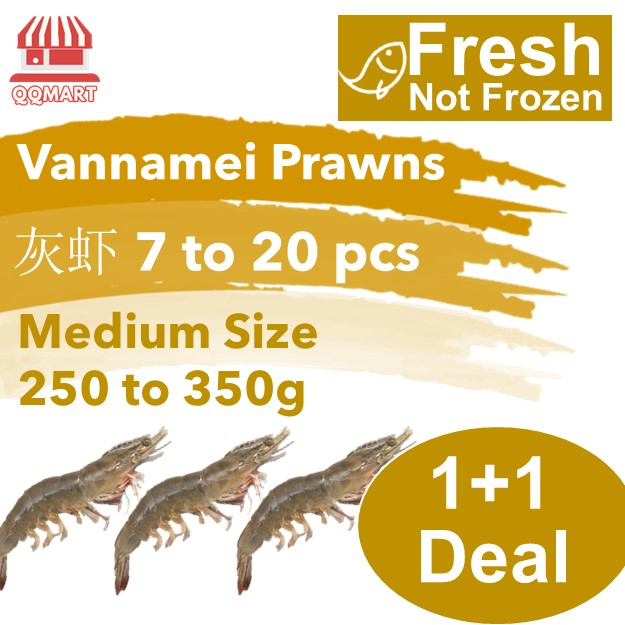 QQMart Fresh Seafood (Not Frozen) - Fresh Vannamei Prawns - Direct from ...