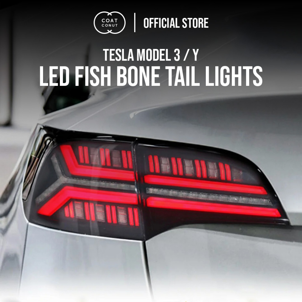Tesla Model 3/Y LED Fish Bone Tail Lights | Installation By Coatconut ...