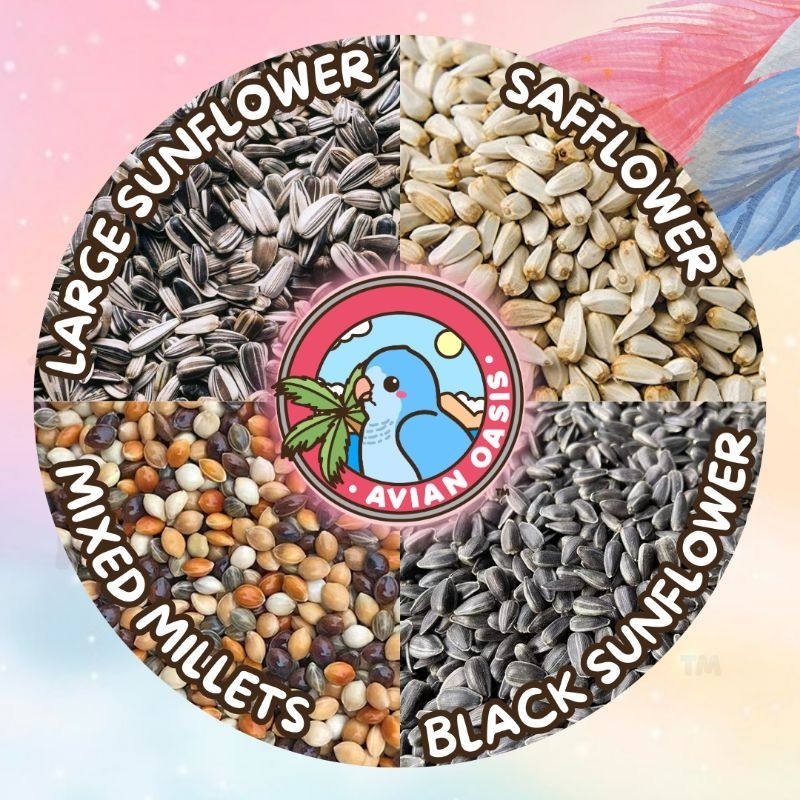 [SG] MIX & MATCH! 500g + 500g Sunflower Seeds Safflower Seed Seeds Mix