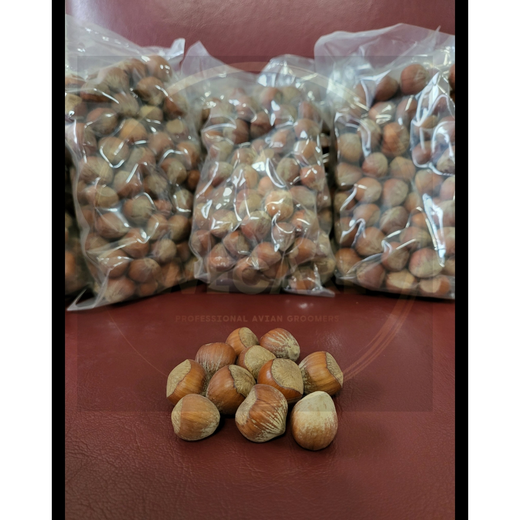 Hazelnuts in shell 500g / 1kg Shopee Singapore