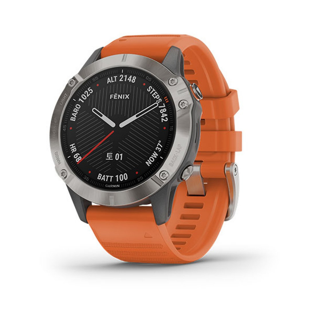 Garmin fenix sale 6 features