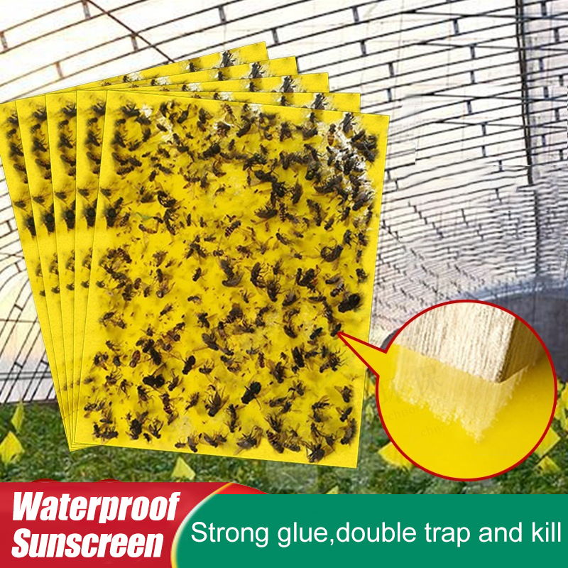 20*15 Double Sided Sticky Fly Board || Insect Traps Pest Killer Fly ...