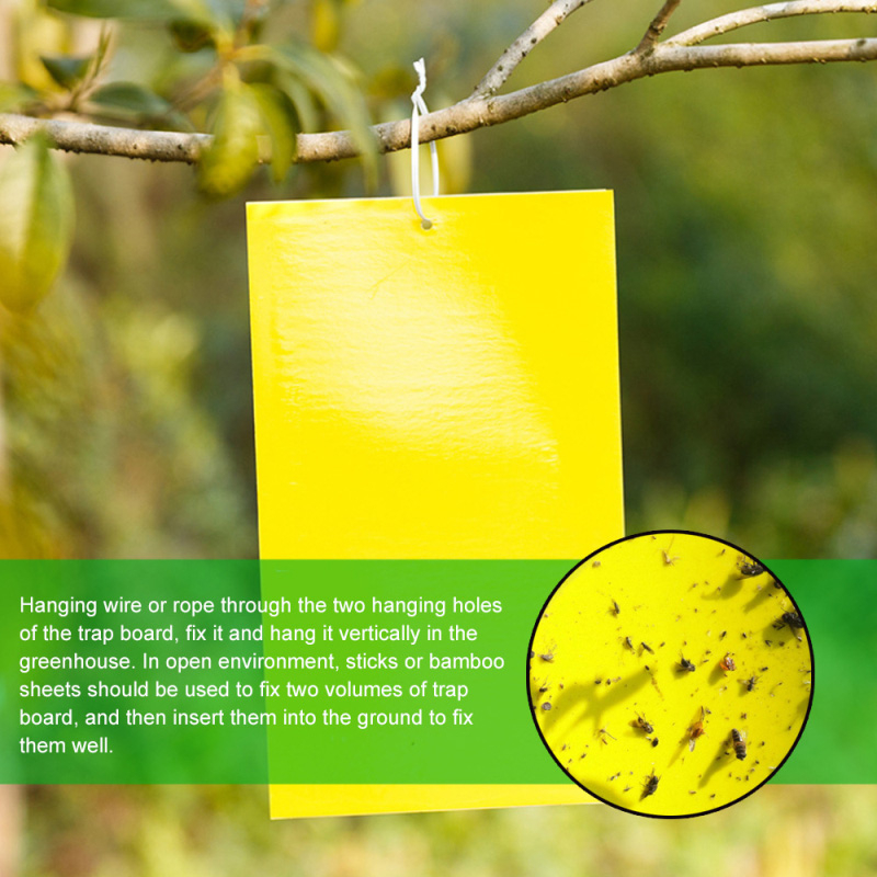 20*15 Double Sided Sticky Fly Board || Insect Traps Pest Killer Fly ...