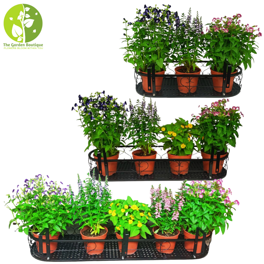 [Local Seller] Rectangular Hanging Plant Metal Iron Plant Racks for ...