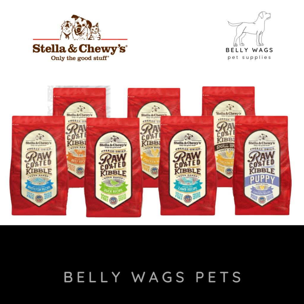 Stella & Chewy's Raw Coated OvenBaked Dog Kibble Food 3.5lb Beef