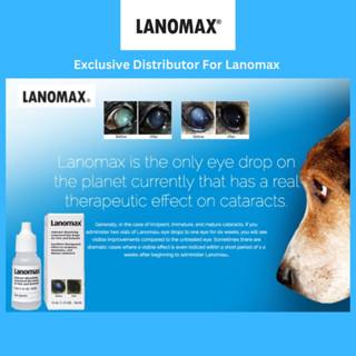 Cataract dissolving eye drops for outlet dogs