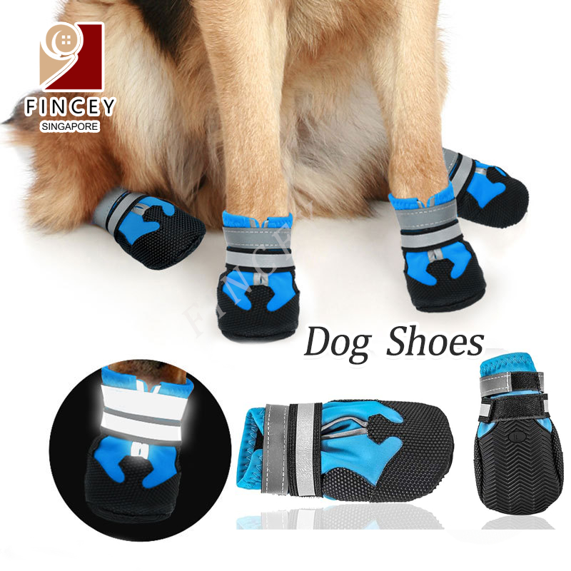 Medium on sale dog shoes