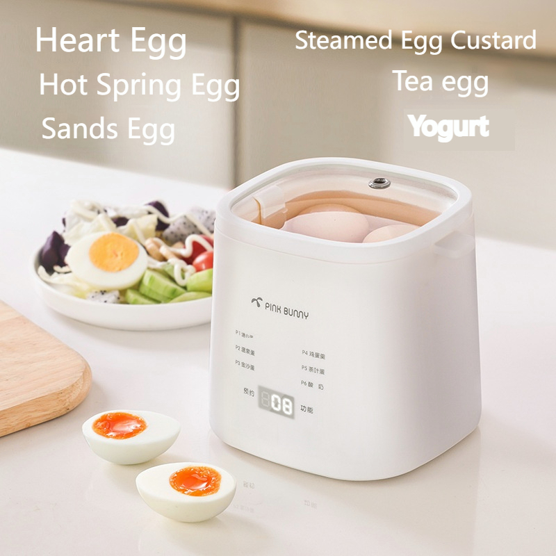 220V Electric Hot Spring Egg Boiler Steamer Stewed Eggs Custard Candy