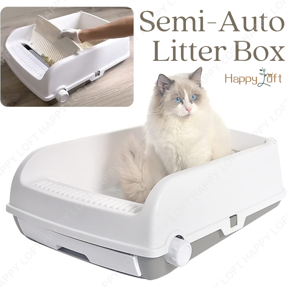 New kitty litter box best sale