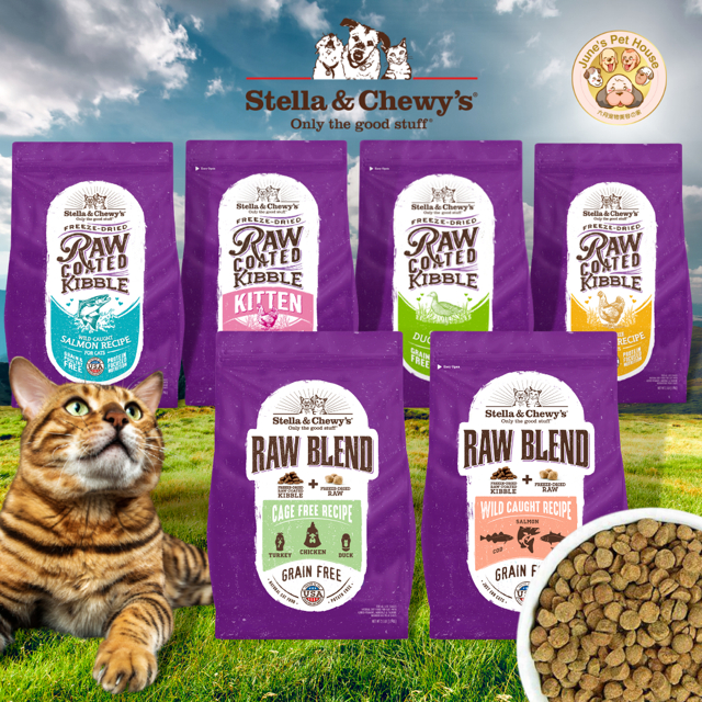 Stella & Chewy's CAT Raw Coated Kibbles & Raw Blend Shopee Singapore