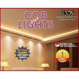 COB LED Strip Kit with Colour Controller and LED Driver