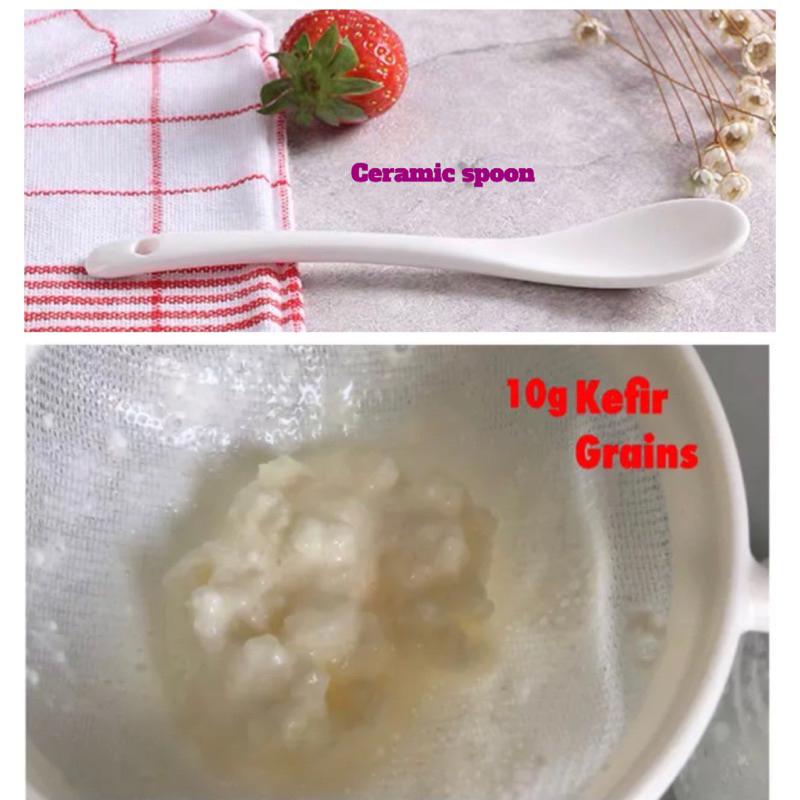 SG instock Organic Live active Milk Kefir Grains to make your own