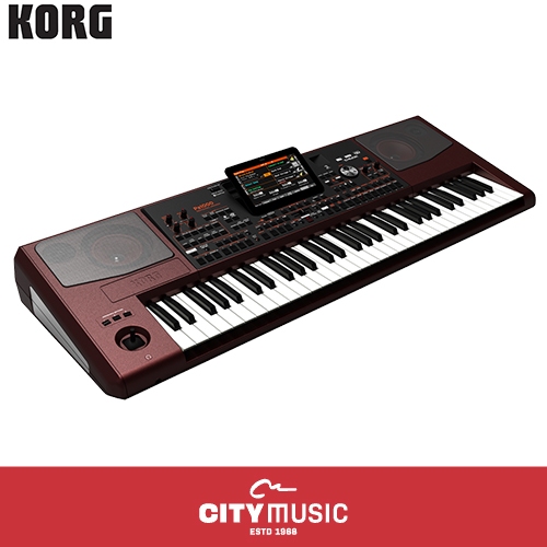 Korg Pa1000 61 key Professional Arranger Shopee Singapore