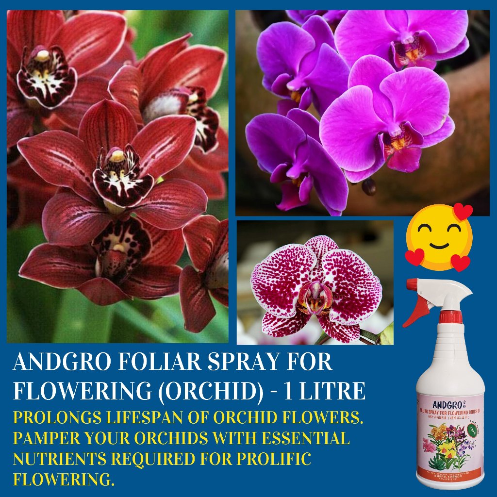 ANDGRO Foliar Spray for Flowering Orchid (1000ml) Shopee Singapore