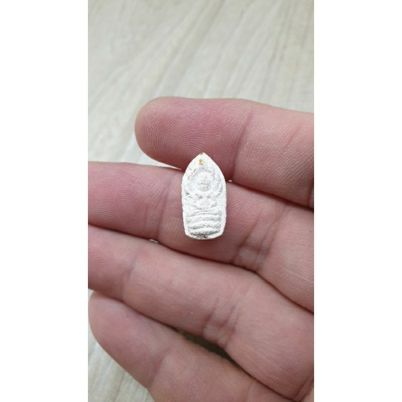 Thai Amulet ~ Phra Nak Prok ~ Luang Phor Kasem Khemago | Shopee Singapore