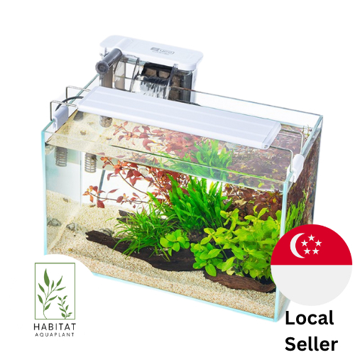 Fish tank singapore supplier hotsell