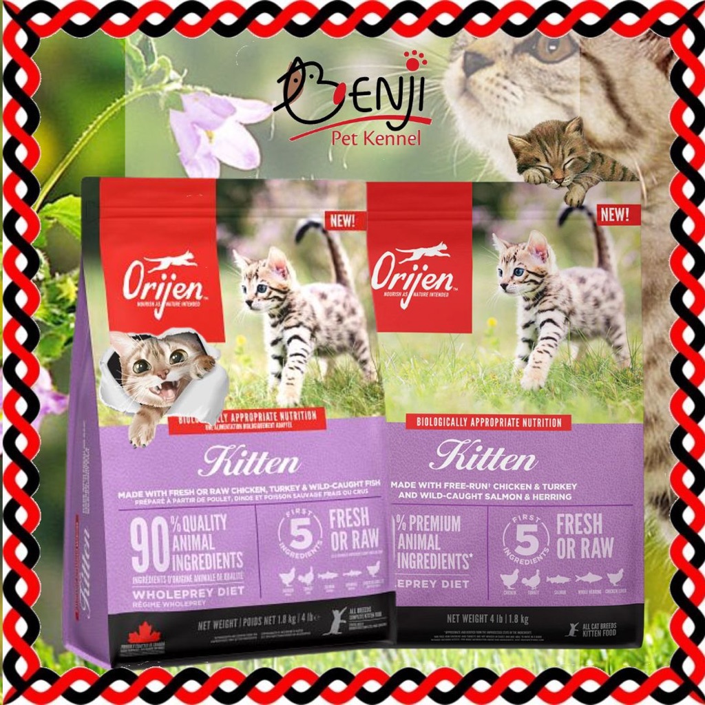 Orijen cat and clearance kitten food 1.8 kg