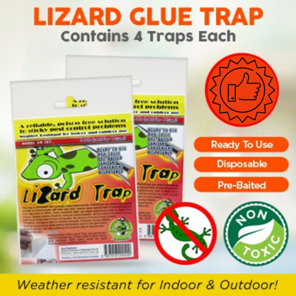 Lizard Glue Trap | Trusted Brand For Lizard Trapping |Lizard Repellent ...