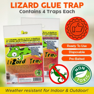 Controz Lizard Trap (6 Traps Special Deal)