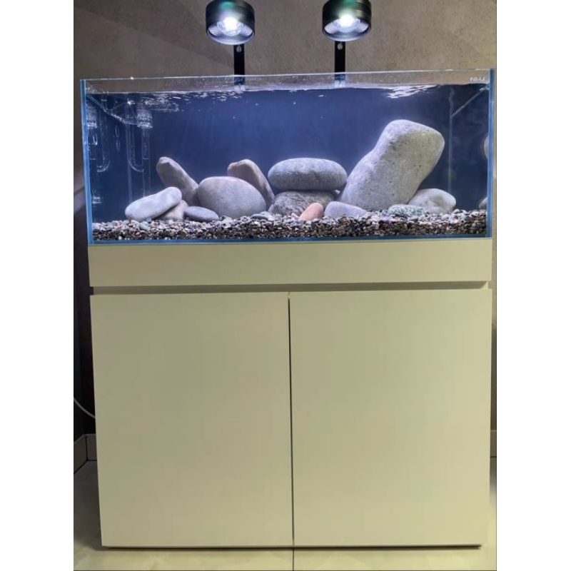 Illustration of Clear Bronze Fish Tank With Plants