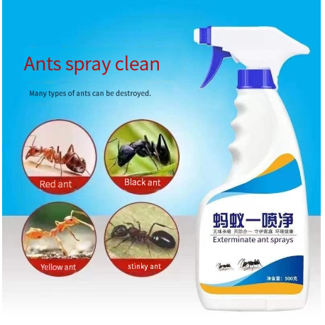 [SG Stock]Indoor and outdoor ant killer insecticidal Spray Effective ...