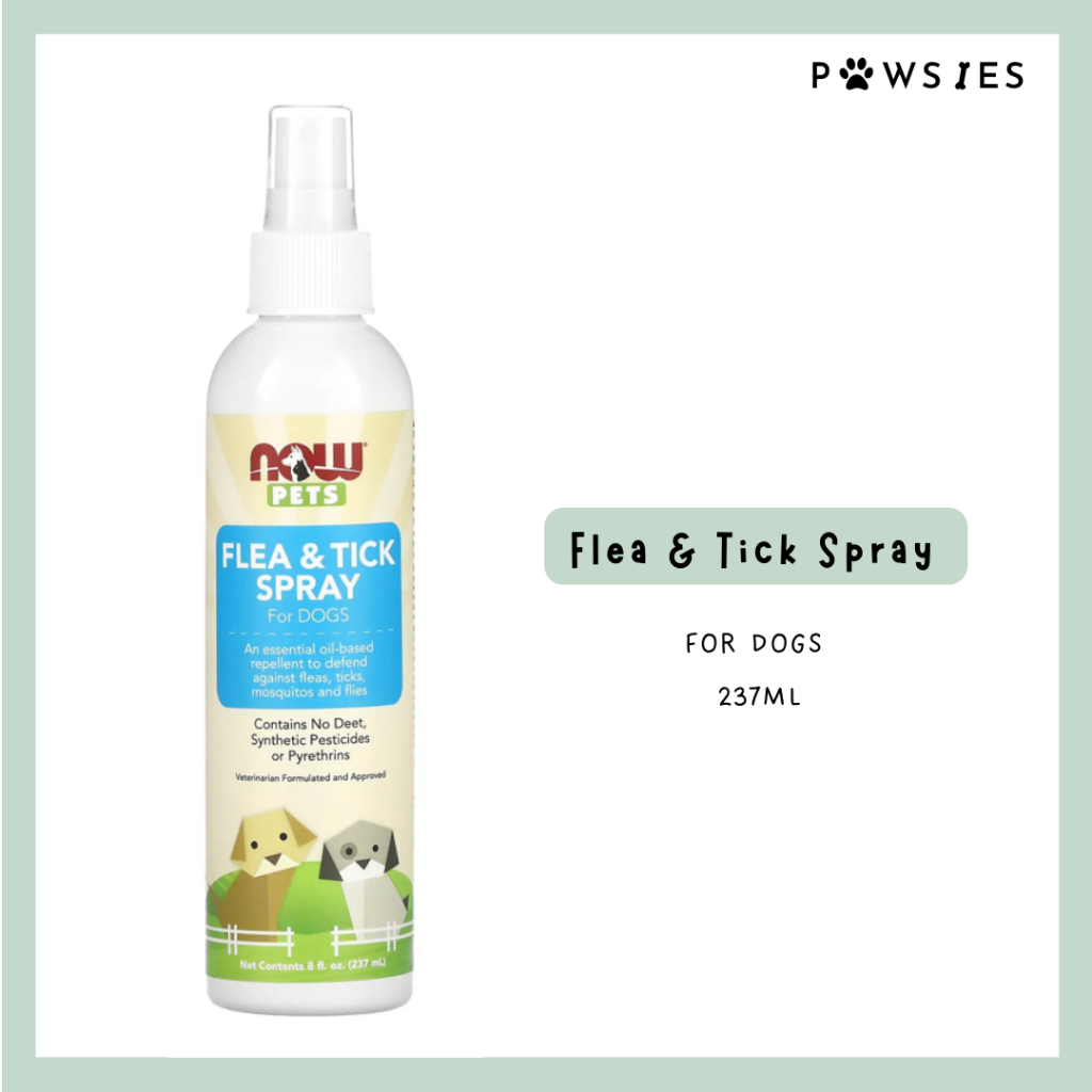 Essential oils for flies on dogs sale