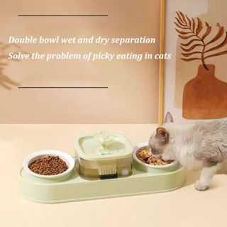 Electric cat bowl sale