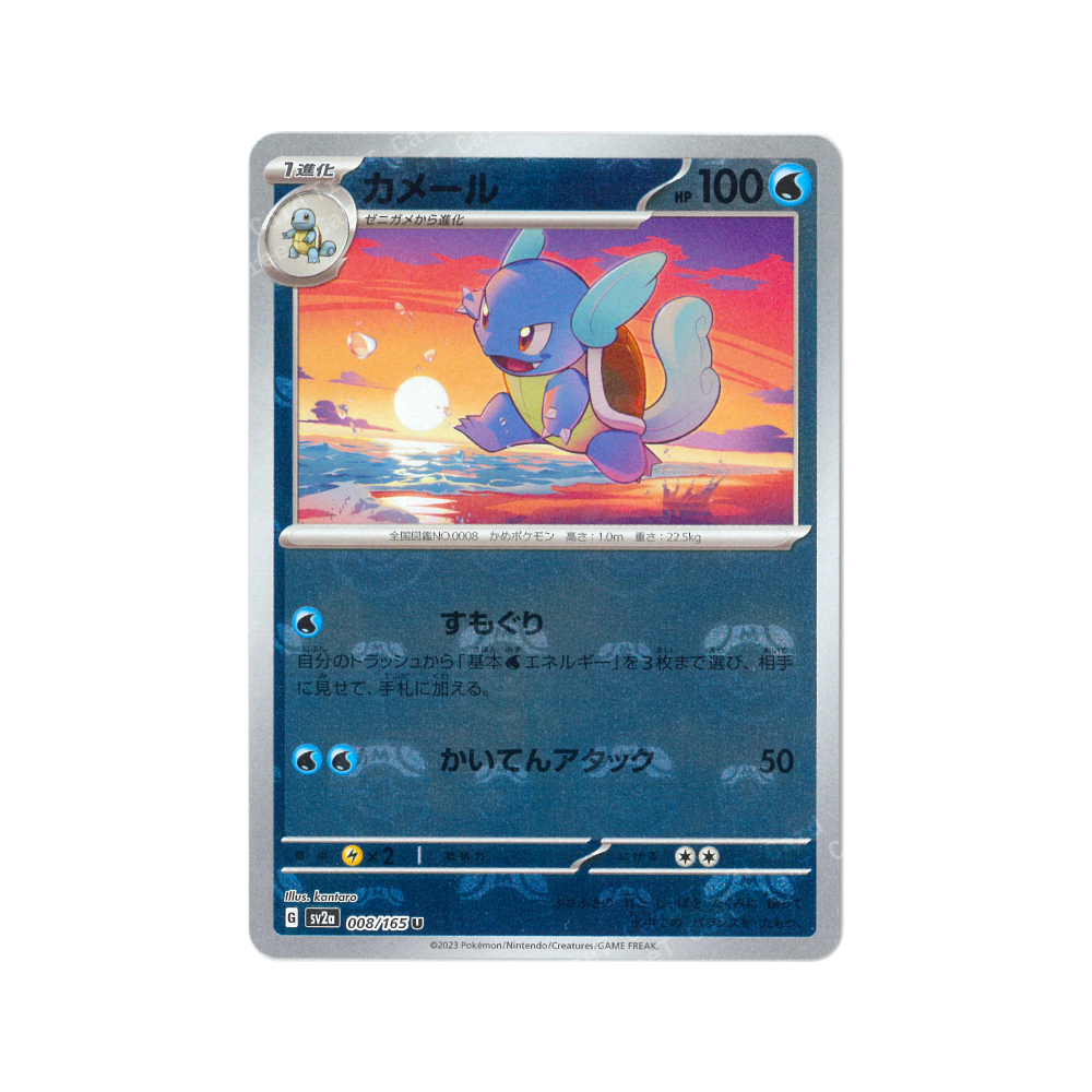 2023 ポケモンカード Wartortle ホロカード 2023 Wartortle PSA 9 - カルドバ