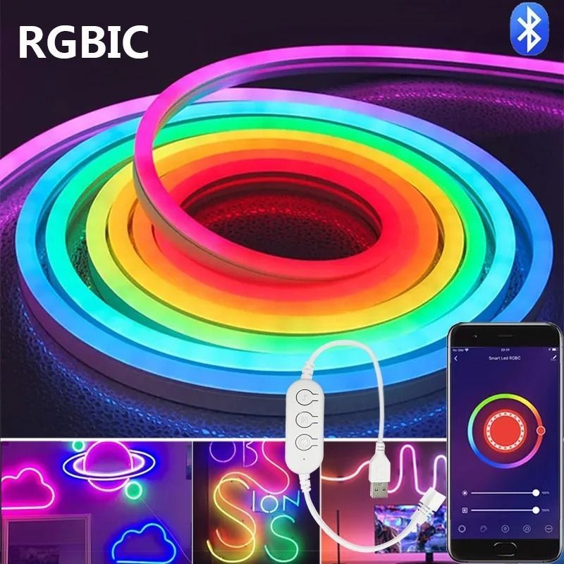 [SG] 3M / 5M USB LED Neon Rope Light, Bluetooth LED Strip Lights with ...