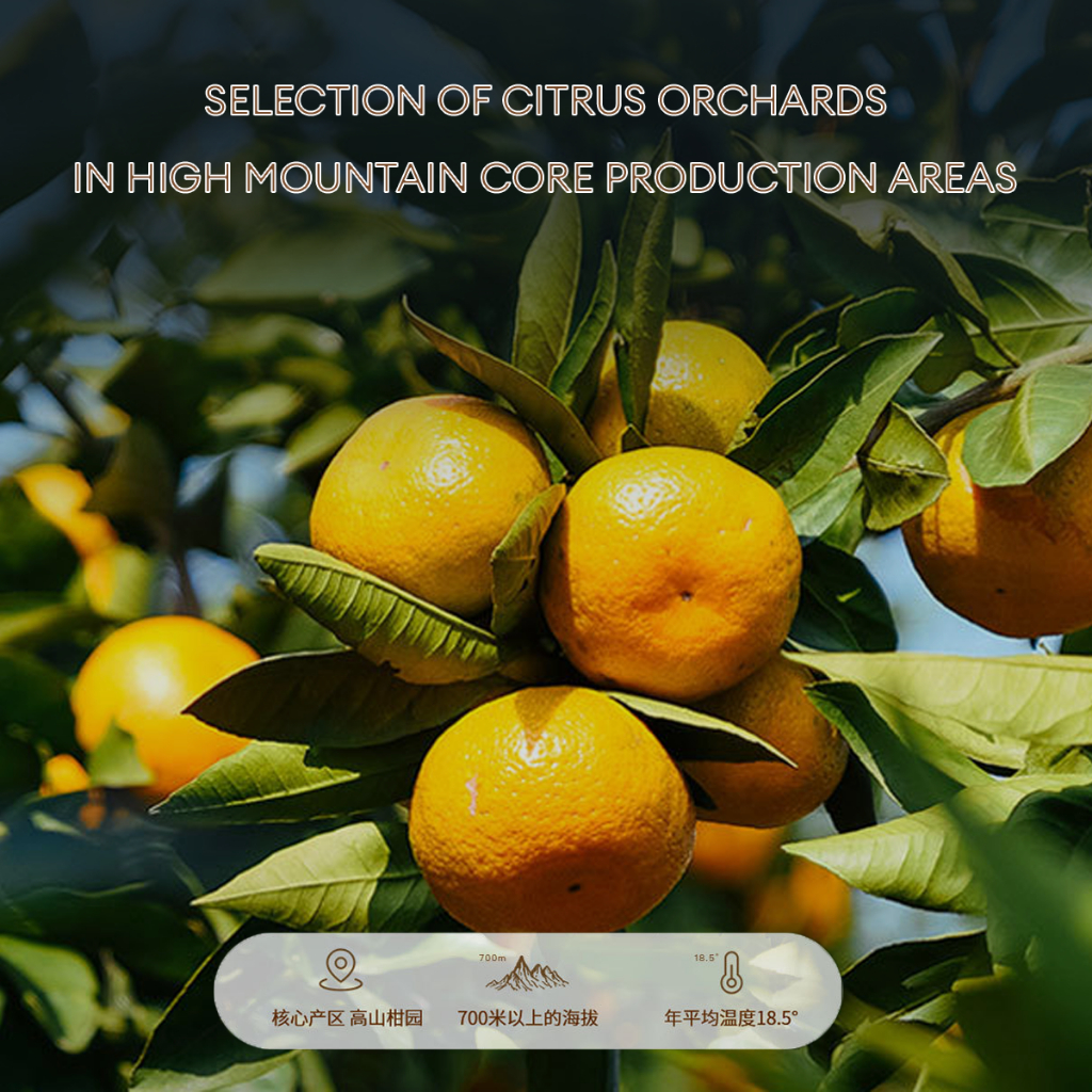 Xinhui Tangerine Peel Orange Peel 10Years Natural Raw Drying Of Old