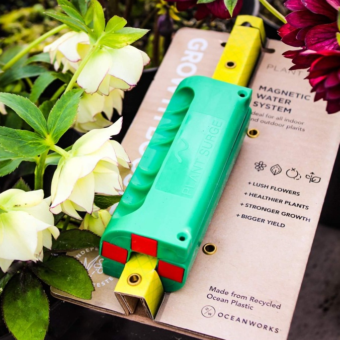 PlantSurge Water Apparatus Shopee Singapore