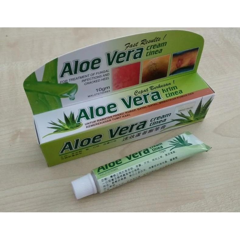 comprar aloe vera Aloe dorotheae main image 1