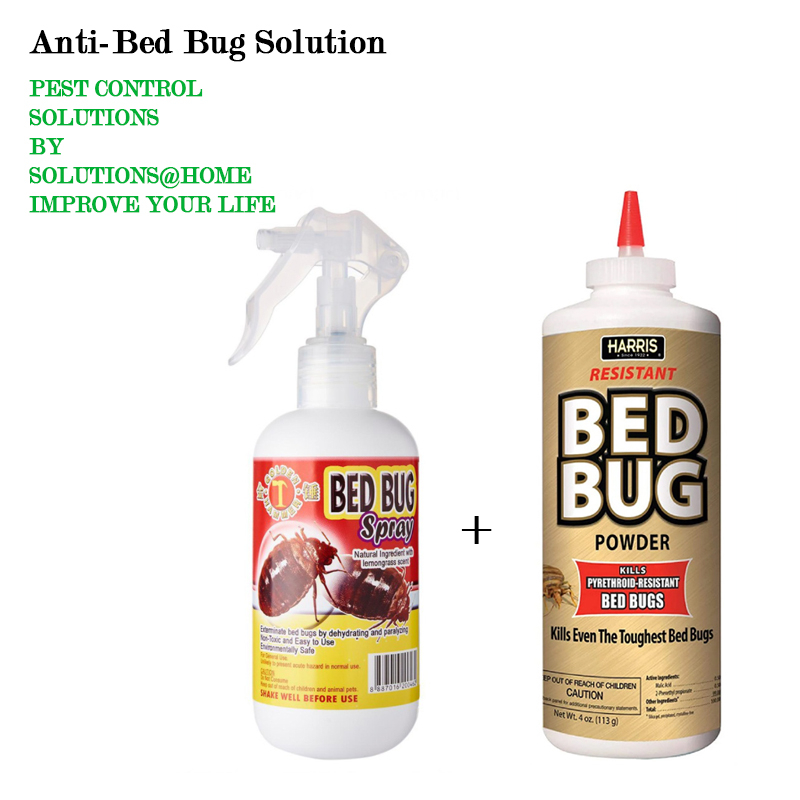 Anti Bed Bug Solutions (Bed Bug Spray and Bed Bug Powder) Shopee Singapore