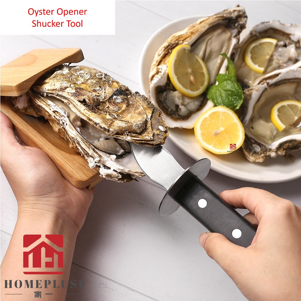 [SG HOMEPLUS1] Stainless Steel Oyster Knife Oyster Opener Shellfish ...
