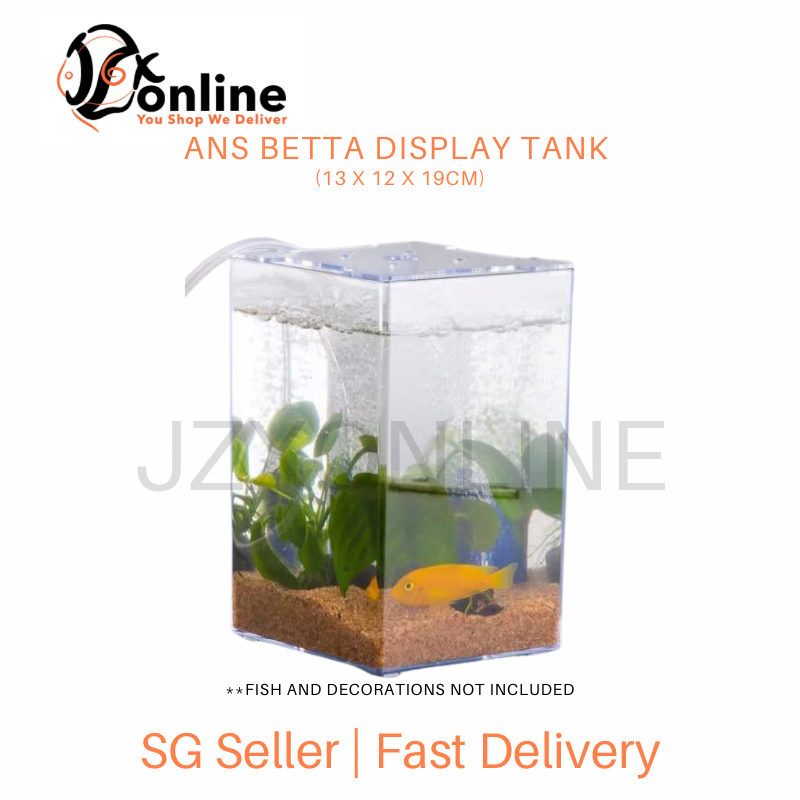 ANS Betta Display Tank (13 x 12 x 19cm) | Shopee Singapore