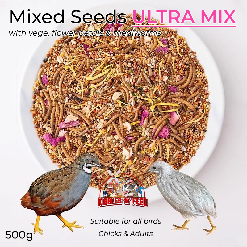 🇸🇬[LOCAL SELLER]🇸🇬 Mixed Seeds ULTRA MIX for Chicks & Adults for ...