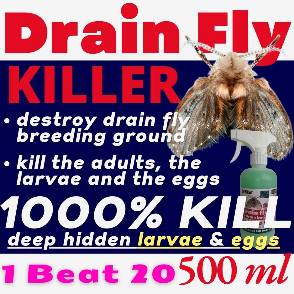 Drain Fly Killer (No need to keep topping up the stock; 1 bottle is ...