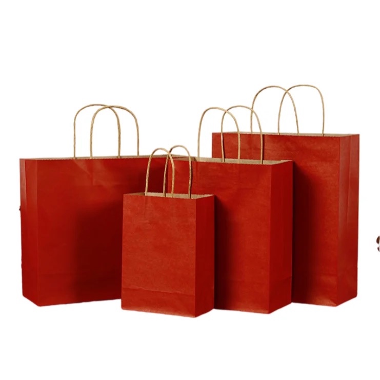 10PCS Set CNY New Year Kraft Paper Bag Set Eco-Friendly Gift Bags for ...