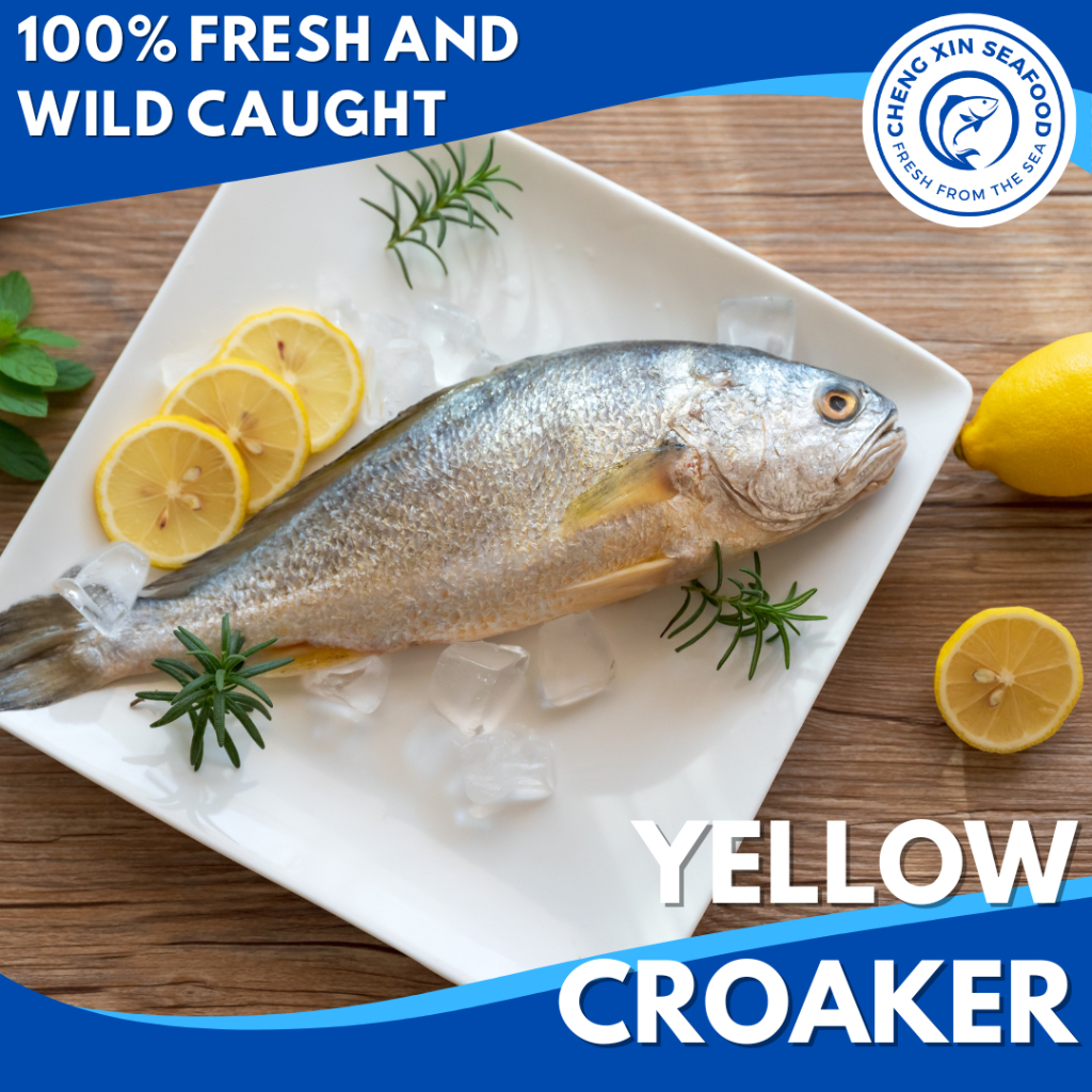 [Cheng Xin Seafood] Yellow Croaker Fish 黄花鱼 (300g - 400g) | Shopee ...
