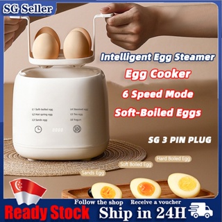 Multi-function Egg Cooker Household Mini Breakfast Egg Machine Automatic  Power Off anti-dry Egg Boiler Stainless Steel 220V