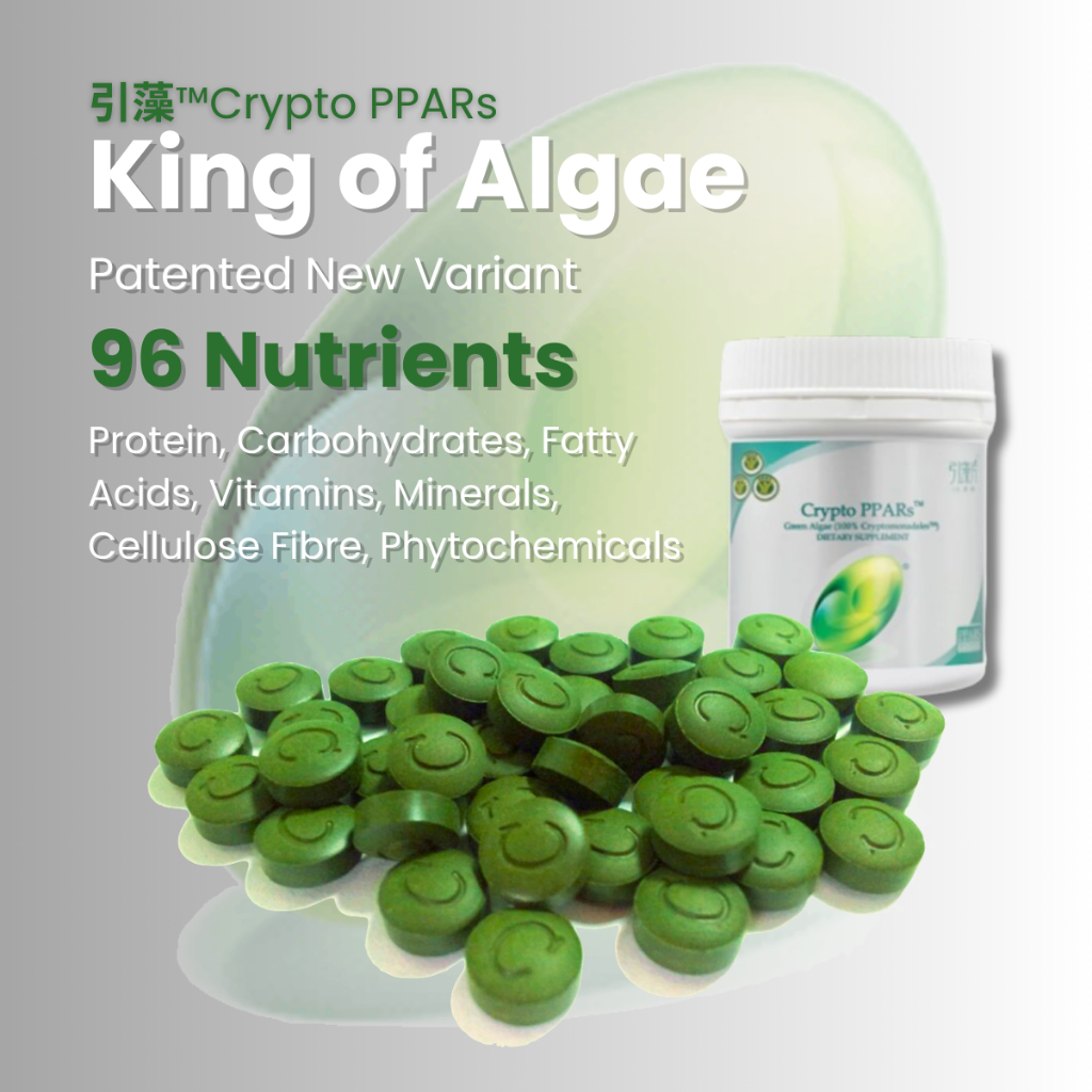 Chlorella PPARs 1000 tablets Micro Algae 96 Nutrient Dense Whole Food ...