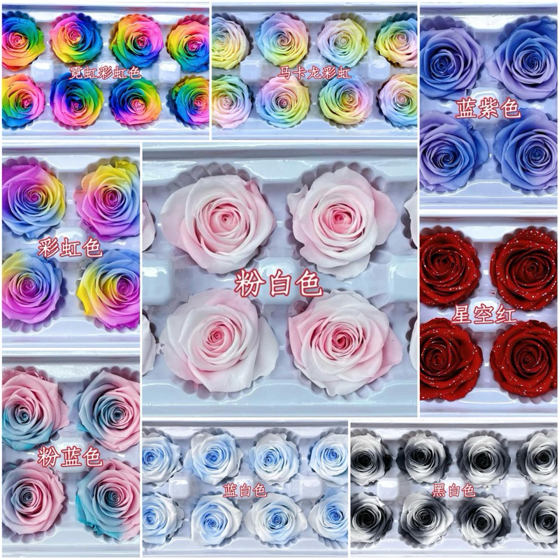 🇸🇬[SG Stock]🇸🇬SG Local Largest Wholesaler Grade A Rainbow Color