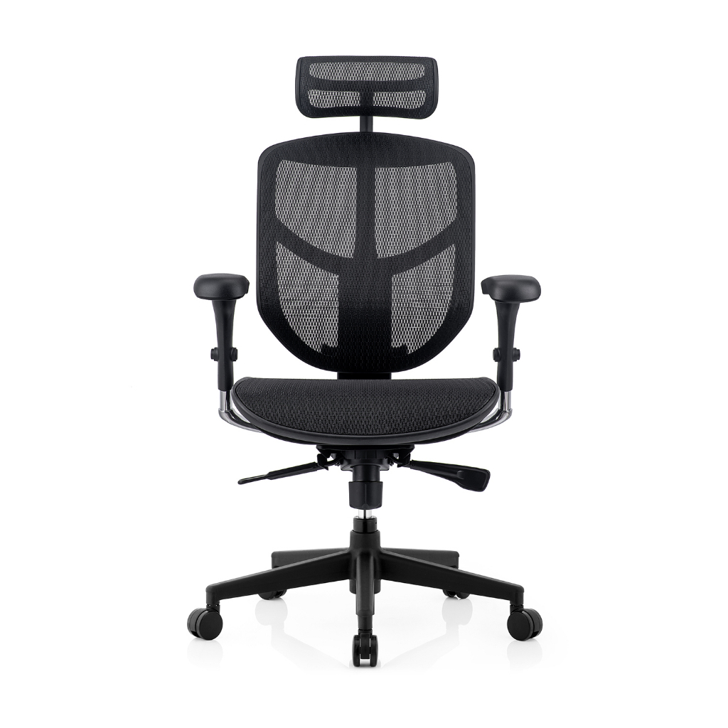 Ergohuman Enjoy Deluxe 2 Smart Design Ergonomic Chair / Office Chair ...